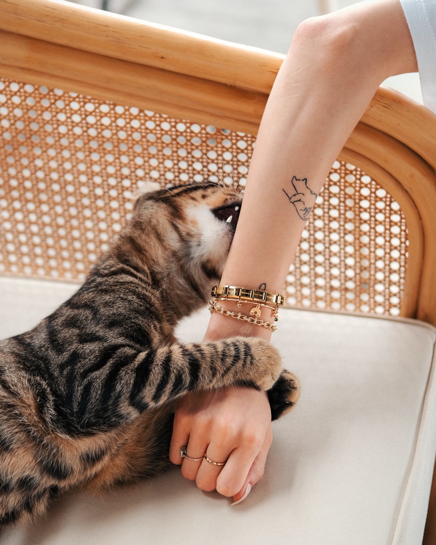A cat biting a bare hand